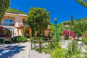 Apartments Branka