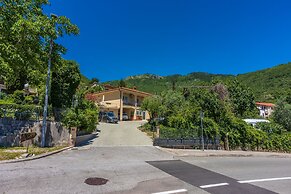 Apartments Branka