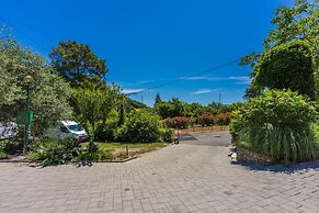 Apartments Branka