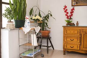Apartment Mirjam