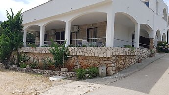 House Fani