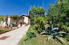 Apartments Ilinka