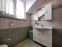 Apartments Vladimir