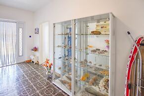 Apartment Danica