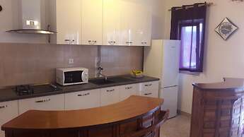 Apartment Branka