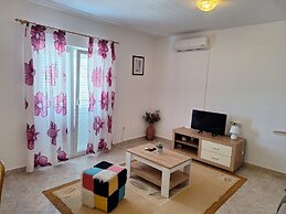 Apartment Branka