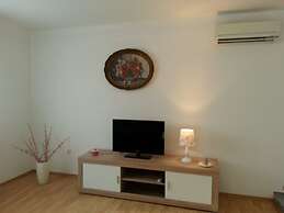 Apartment Branko