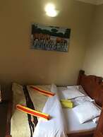 Papagei Home