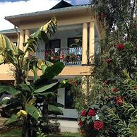 Papagei Home