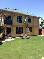 Papagei Home