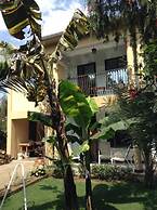 Papagei Home