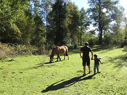 Cabaña Los Coigues 2308