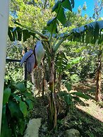 Calathea Hotel Monteverde
