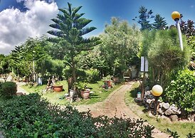 WangWang B&B