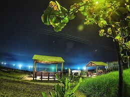 WangWang B&B