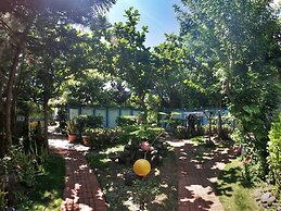 WangWang B&B