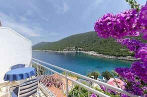 Apartments Dinko