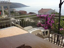Apartments Branko