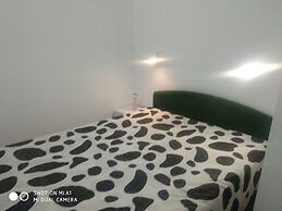 Apartments Branko