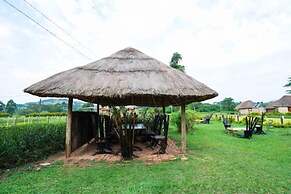 Forever Eco Resort