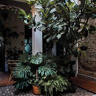 Casa Morelos By Barrio Mexico