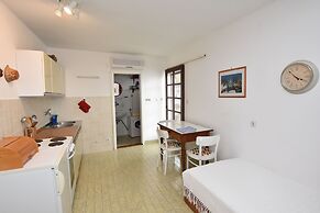 Apartments Ziva