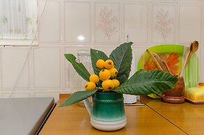 Apartment Anka