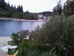 Apartment Vedran