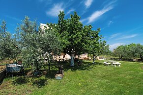 Apartments Stefa