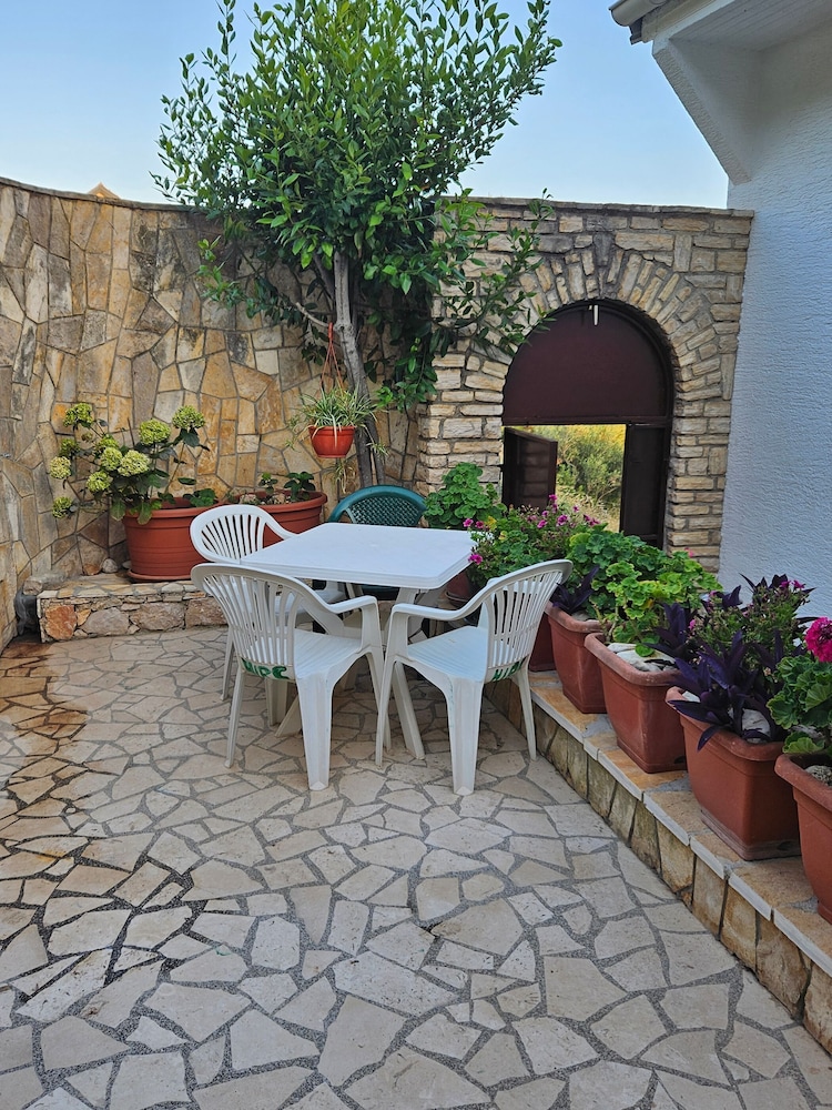 Apartment Branka