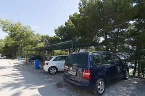 Apartment Branka