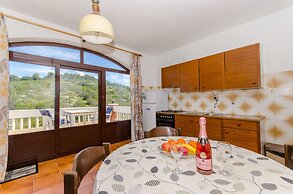 Apartments Drazen