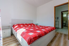 Apartment Nika