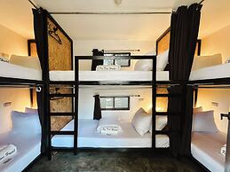 Pig Dive Hostel