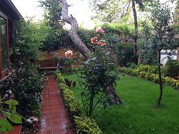 Garden Apart