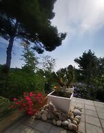 Apartments Ana