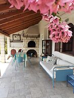 Apartments Ana