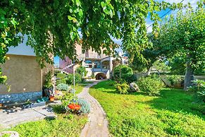 Apartment Petar