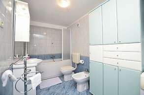 Apartment Visnja