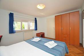 Apartment Visnja