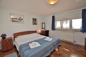 Apartment Visnja