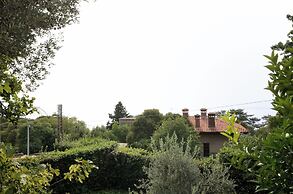 Apartment Visnja