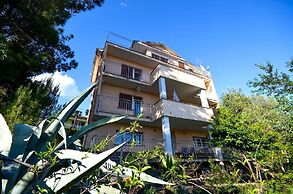 Apartment Visnja