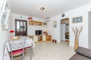 House Anima