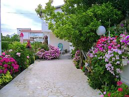 Apartments Rezika