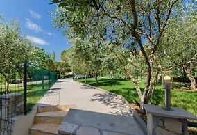 Apartments Dragutin