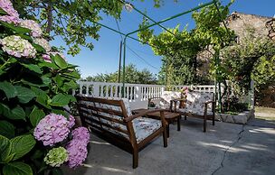 House Predrag