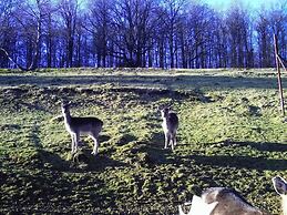Ferienwohnungen Hees