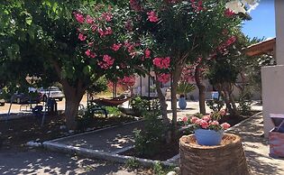 Andysgardens
