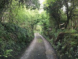 Higher Trenear Farm